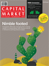 Capital Market