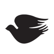 stock-img