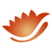 similar-logo