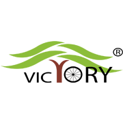 Victory Electric Vehicles International Limited logo